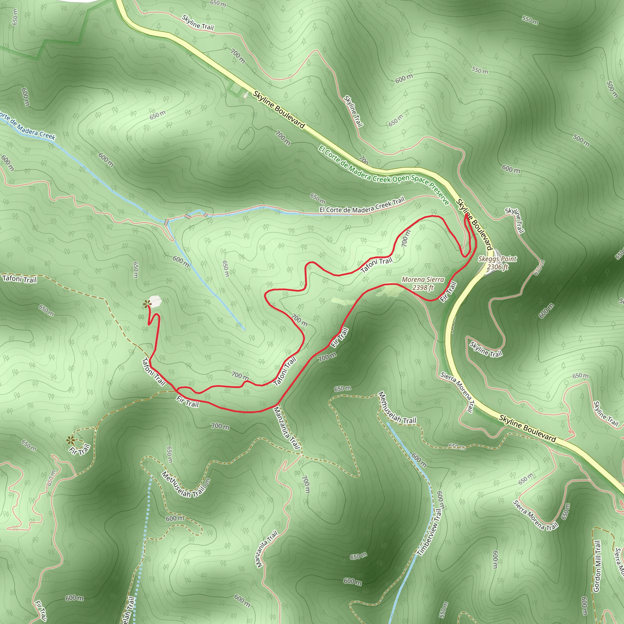 Morena Sierra Loop via Tafoni Trail mobile static map