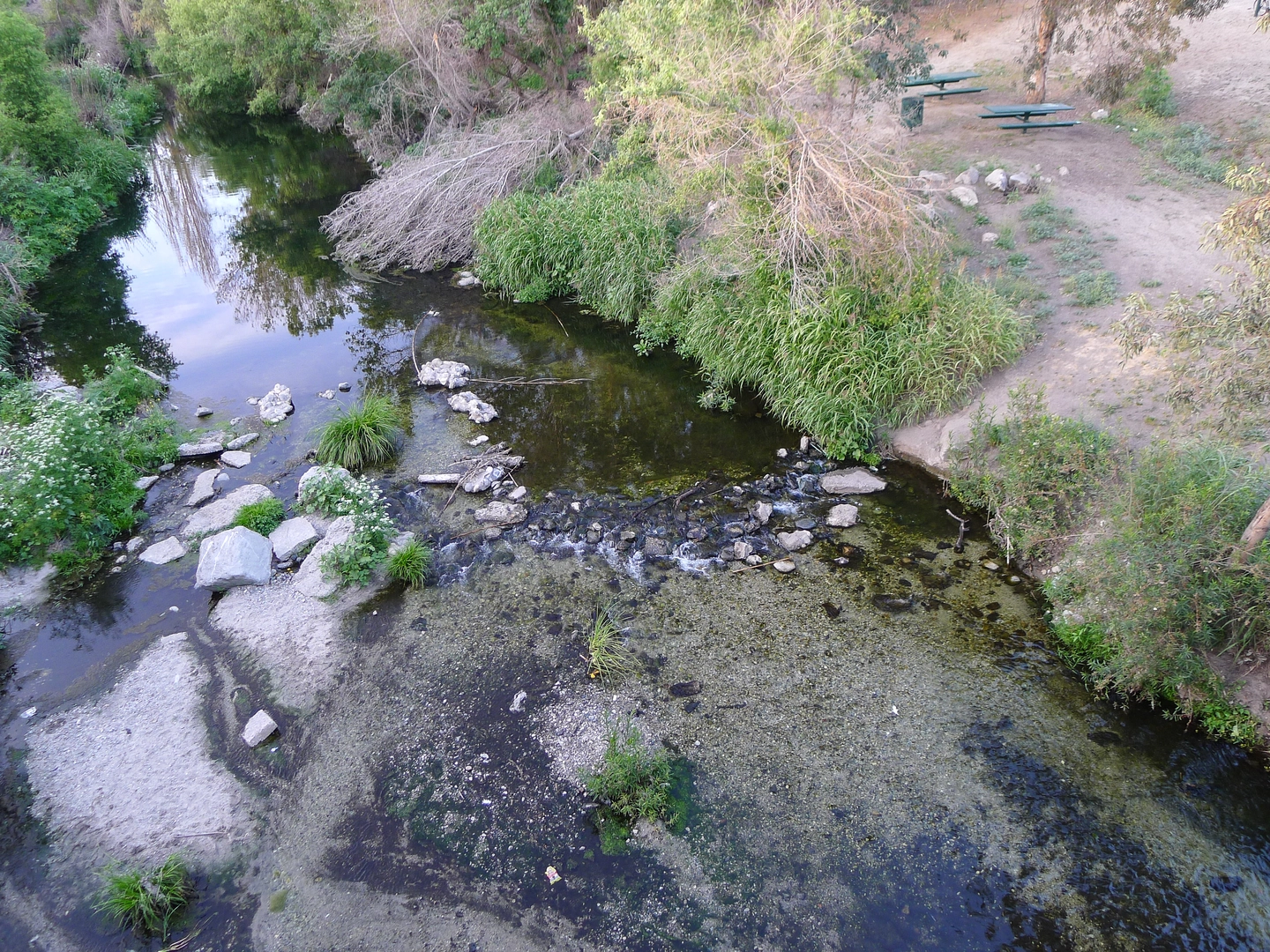 An image depicting the trail Rio Hondo River Trail - Peck Road Water Conservation Park and its surrounding area.