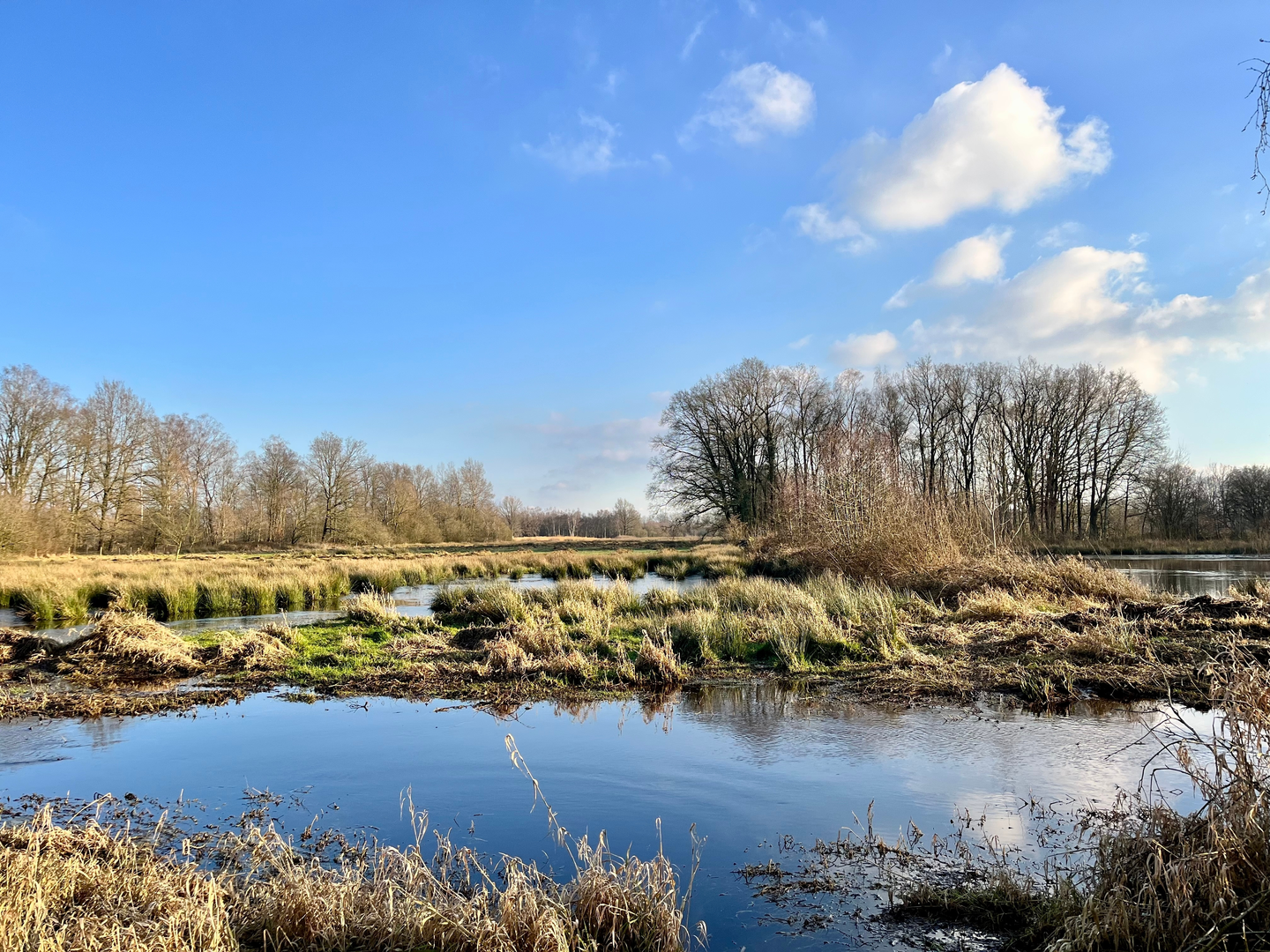 An image depicting the trail Teesinkbos and Stemlande via Boeklelo - Blauwe Route and Rondje Enschede and its surrounding area.