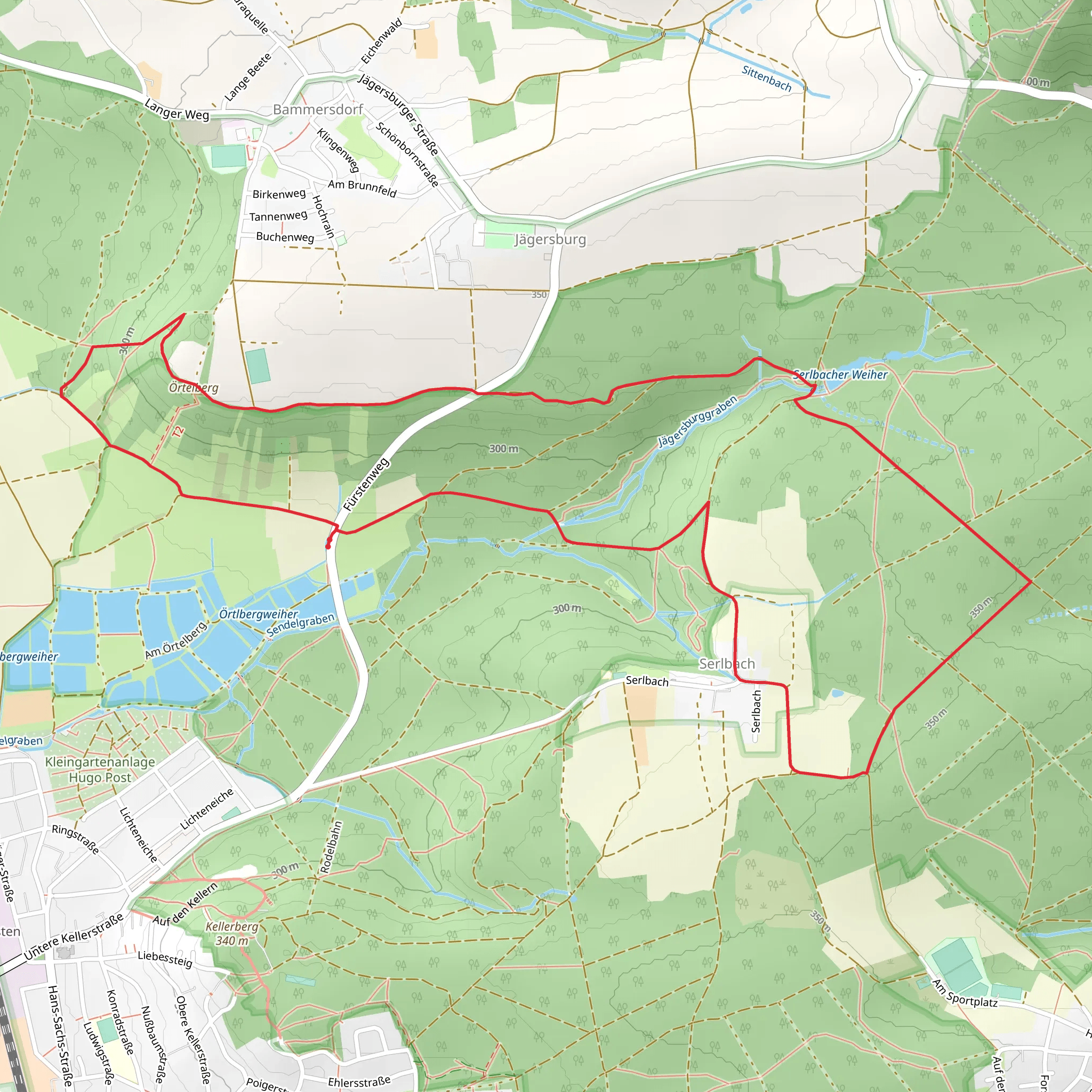 Schlossberg Runde and Forchheim-Weilersbach mobile static map