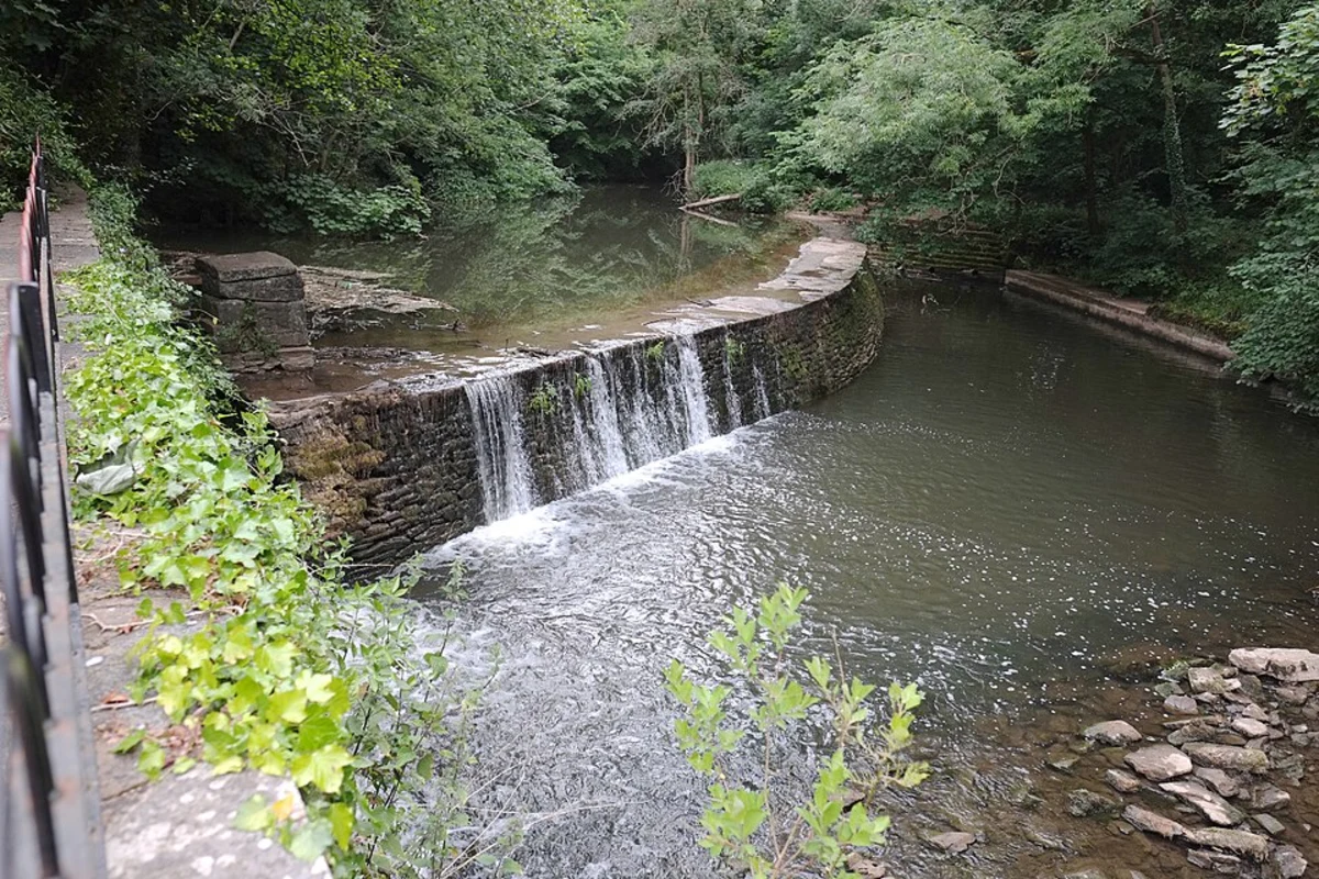 River Frome Walk from Oldbury Court Estate