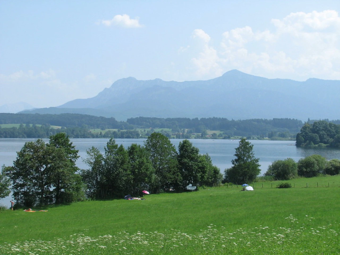 An image depicting the trail Riegsee Loop and its surrounding area.