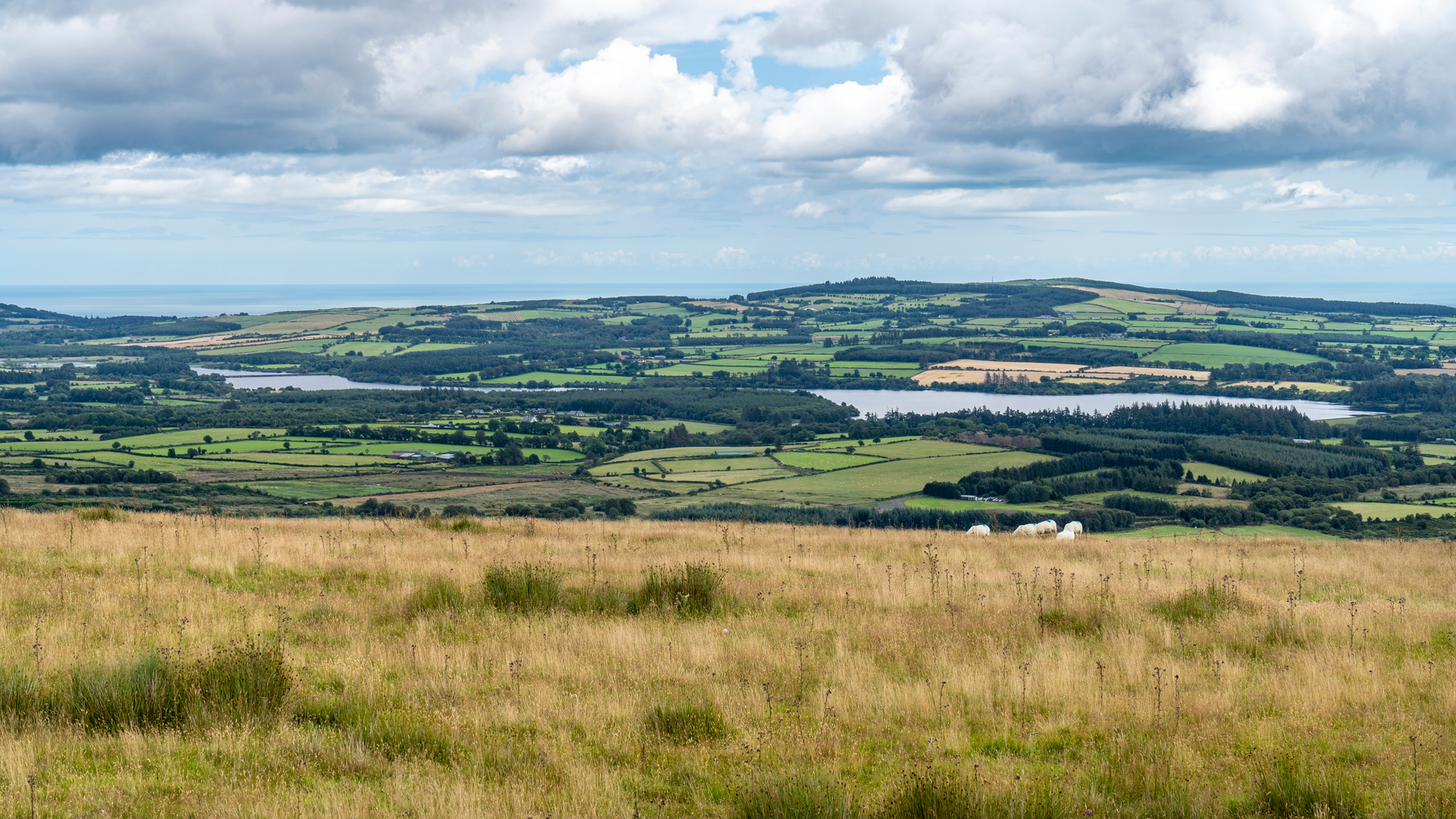 An image depicting the trail Roundwood Reservoir Woodland Walk and its surrounding area.