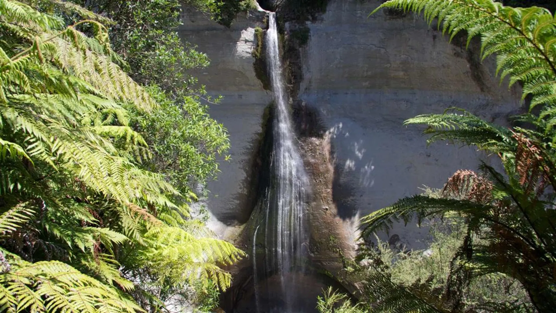 An image depicting the trail Mount Damper to Te Rerepahupahu Falls Track and its surrounding area.