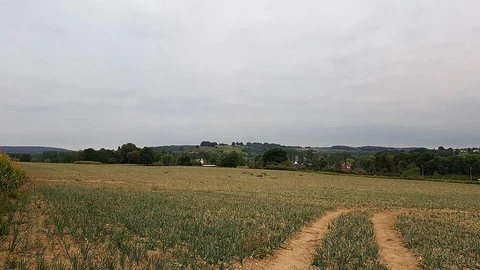 Cartilservoetpad, Eyser Bossche, Keutenberg and Dolsberg Loop