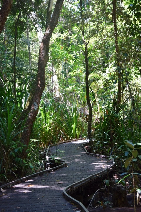 An image depicting the trail Dubuji Boardwalk Loop Walk and its surrounding area.