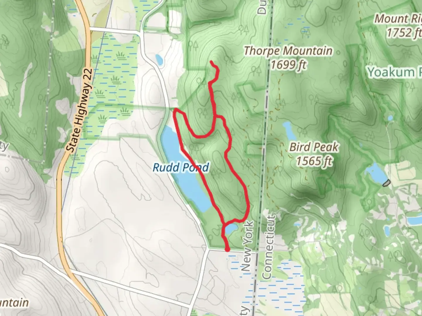 An image depicting the trail Rudd Pond, Iron Mine Pond via South Taconic Trail and its surrounding area.