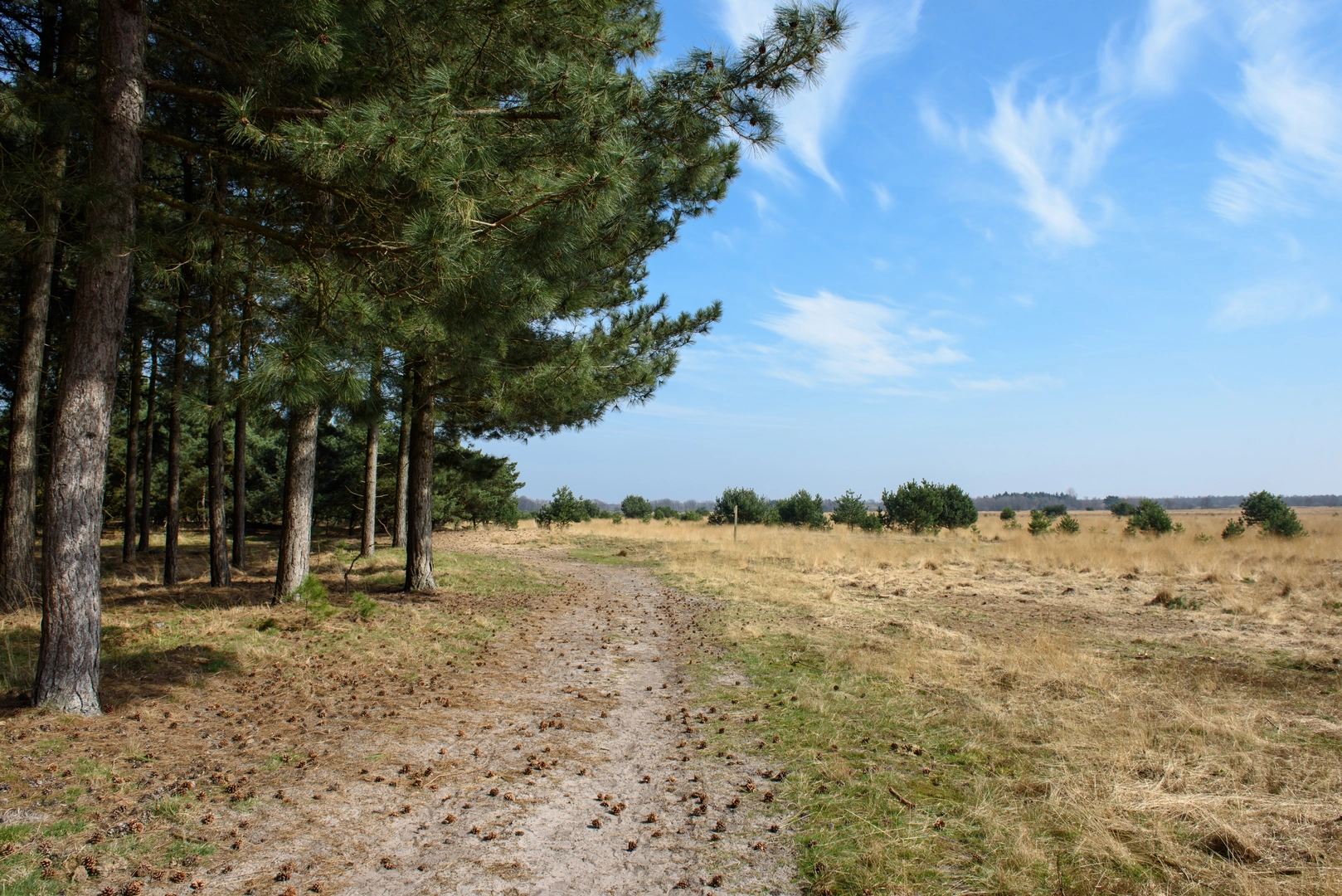 An image depicting the trail Eikenberg, Venakkerbosch, Bergeijkse Barriere and Enderheide Loop and its surrounding area.