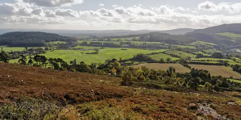 An image depicting the trail Kindlestown Trail and its surrounding area.
