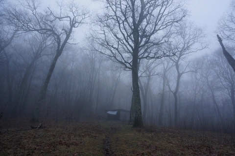 An image depicting the trail Siler Bald via Appalachian Trail and its surrounding area.