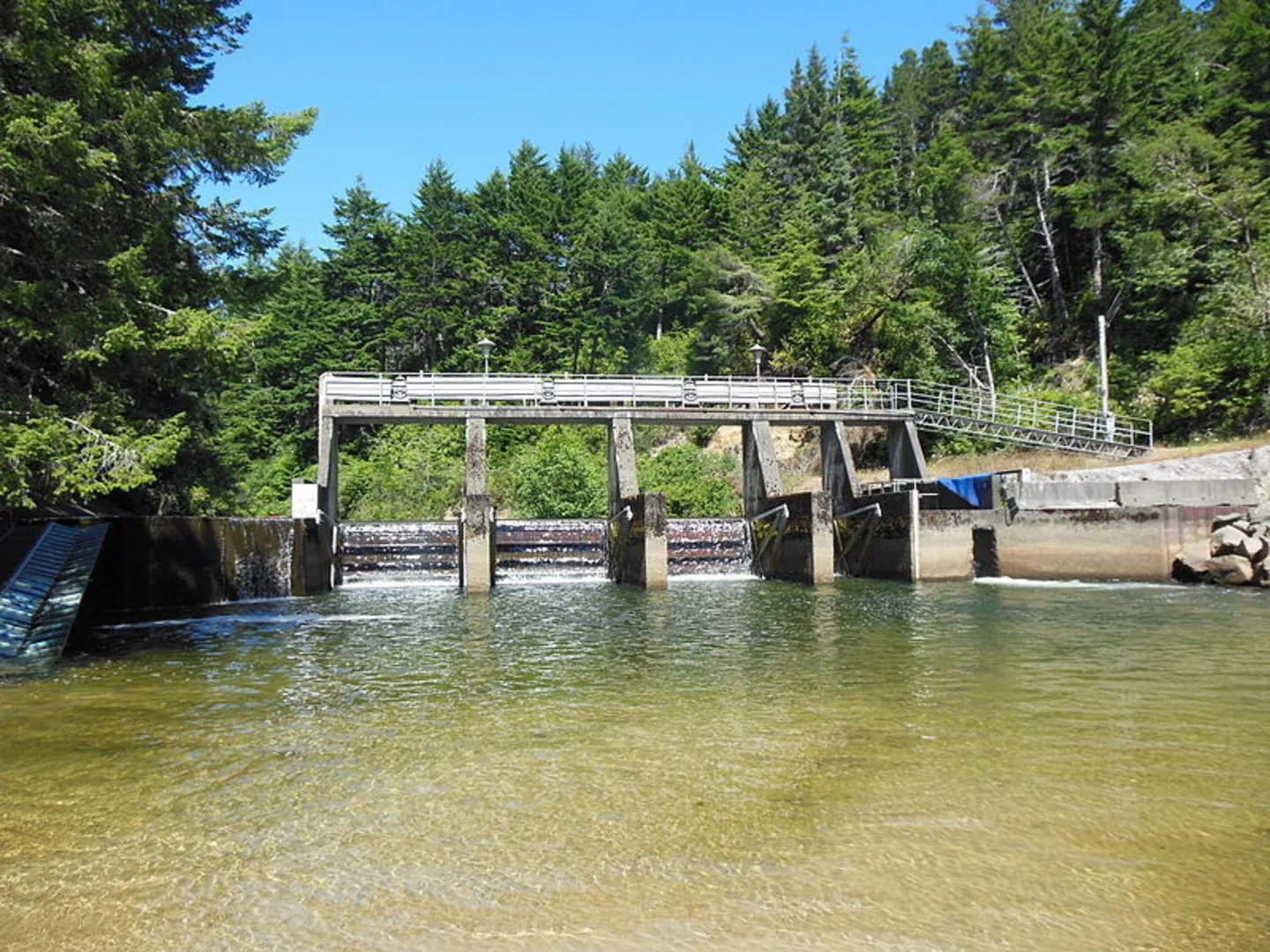 An image depicting the trail Waxmyrtle Trail and its surrounding area.