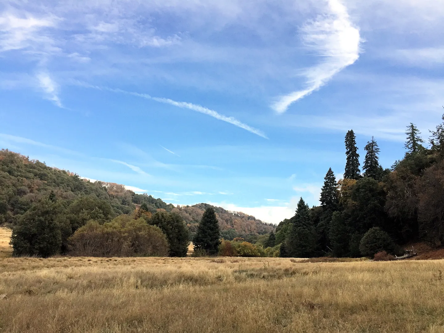 An image depicting the trail Doane Valley Nature Loop Trail and its surrounding area.