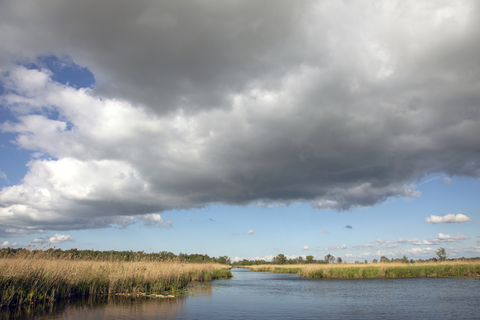 Polder De gagel and Fort Ruigenhoek Loop