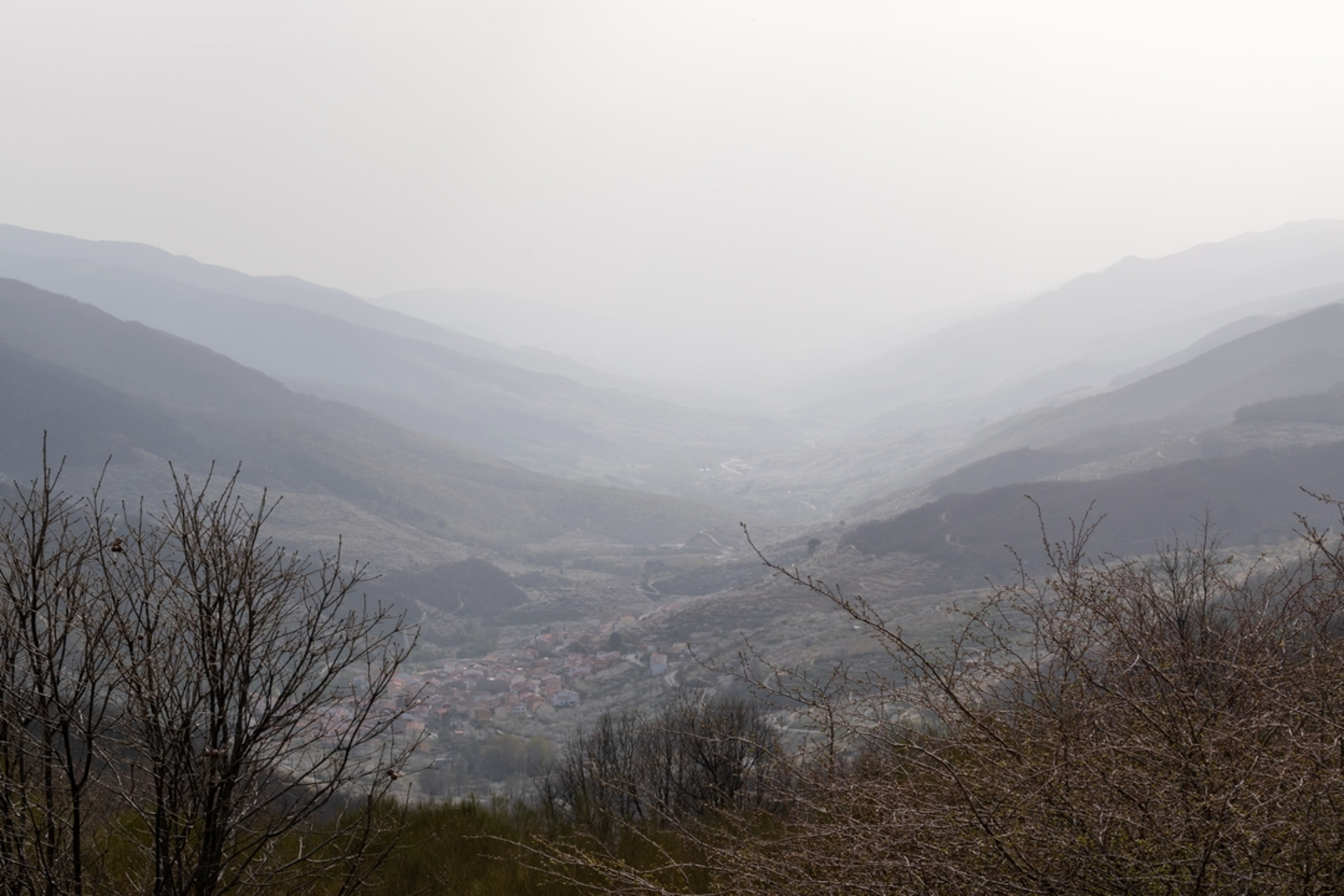 An image depicting the trail Cherry Blossom PR CC 2 and its surrounding area.