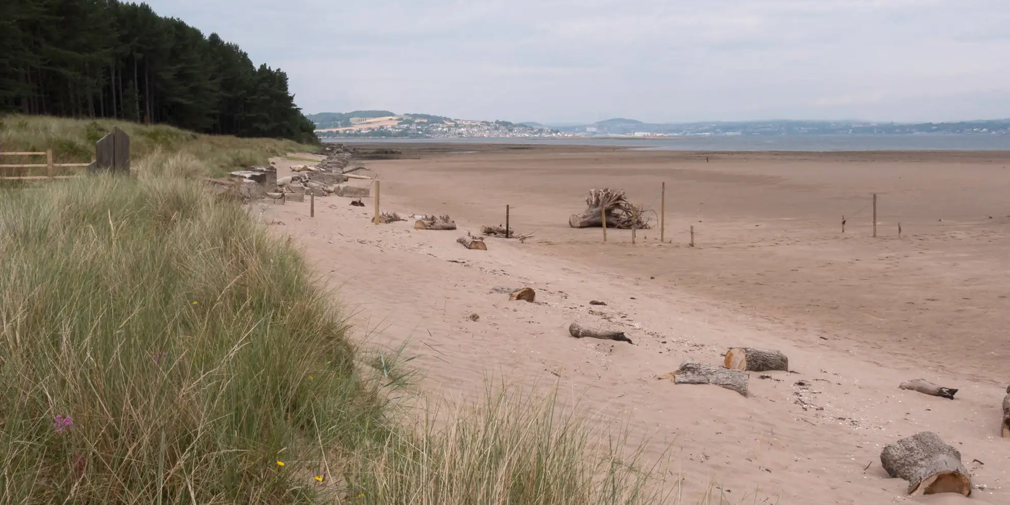 An image depicting the trail Tentsmuir Point Loop Trail and its surrounding area.