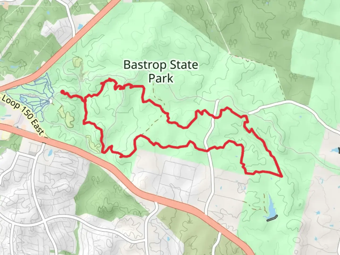 An image depicting the trail Lost Pines Trail and its surrounding area.