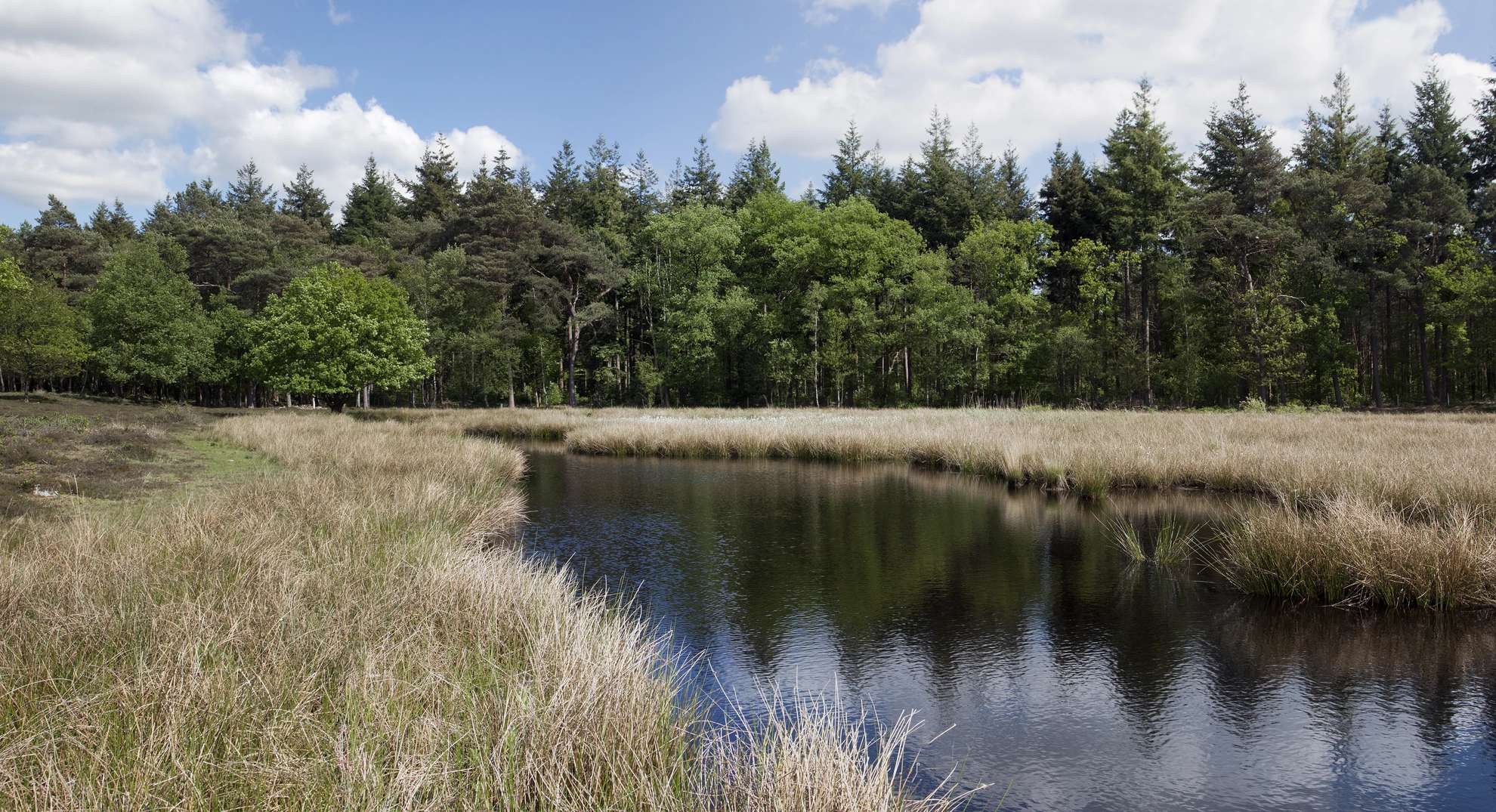 An image depicting the trail Kasteel Drakensteyn and Konijnenberg Loop and its surrounding area.