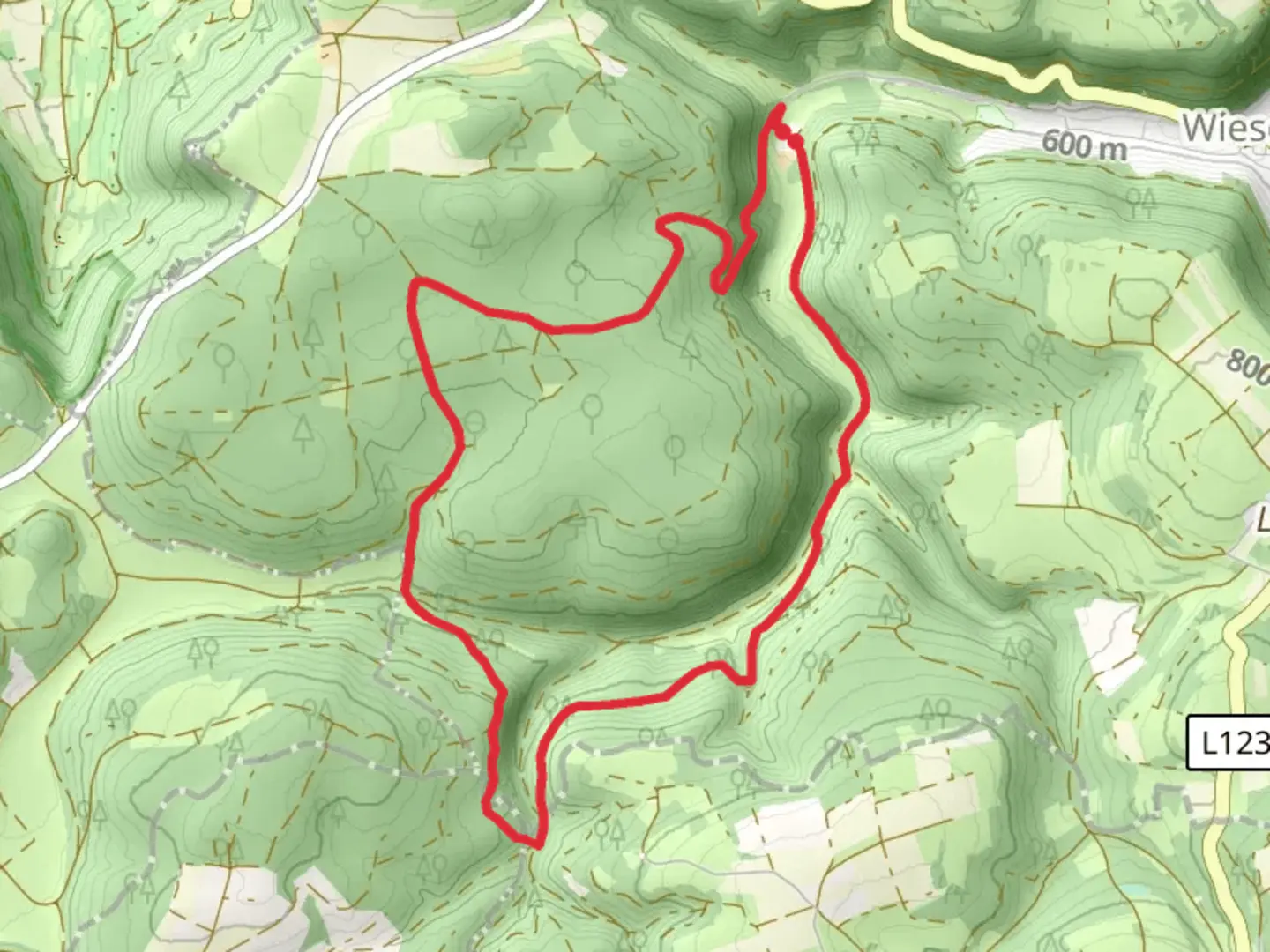 An image depicting the trail Papiermuhle to Brunnen and Hasental Loop and its surrounding area.