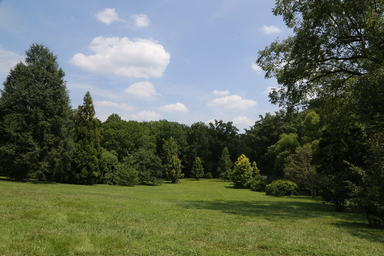 An image depicting the trail Big Run - Sycamore Mills Road and its surrounding area.