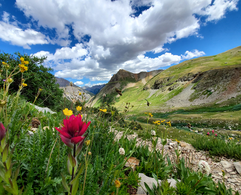 An image depicting the trail Mount Sneffels Trail and its surrounding area.