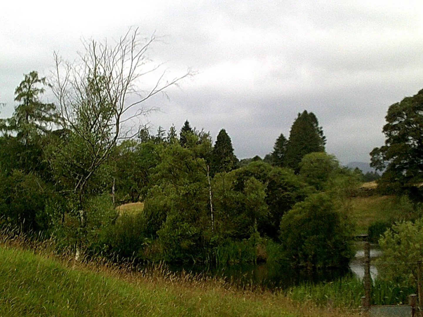 An image depicting the trail Bowness on Windmere Loop and its surrounding area.