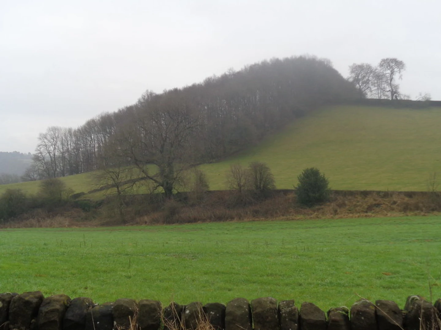 An image depicting the trail Squirrel Woods and Wyver Wood via Midshires Way and Derwent Valley Heritage Way and its surrounding area.