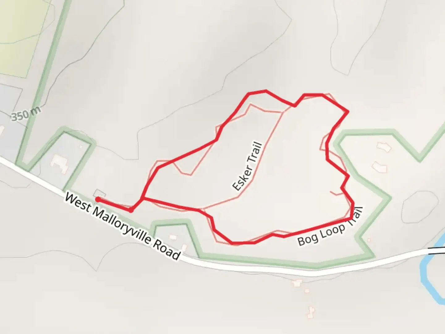 An image depicting the trail Bog Loop Trail and its surrounding area.