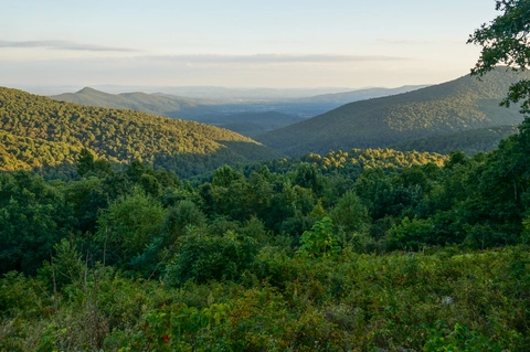 An image depicting the trail Lewis Peak via Rockytop Trail and its surrounding area.