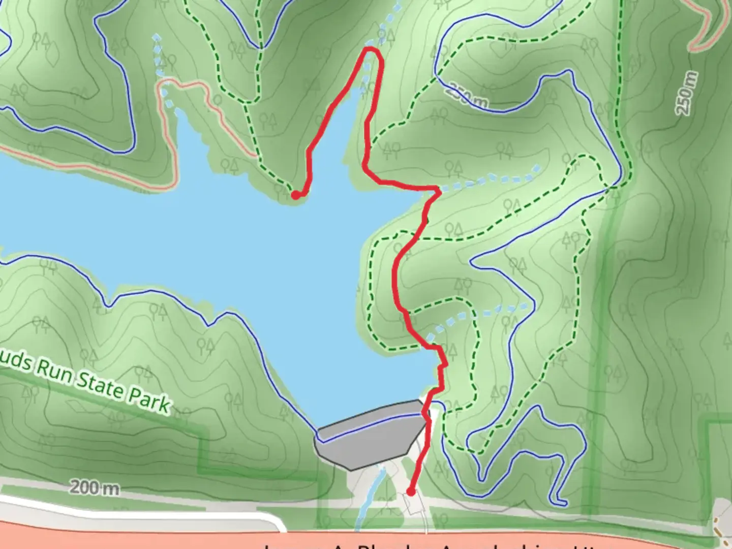 An image depicting the trail Hickory and Amoretto Trail and its surrounding area.
