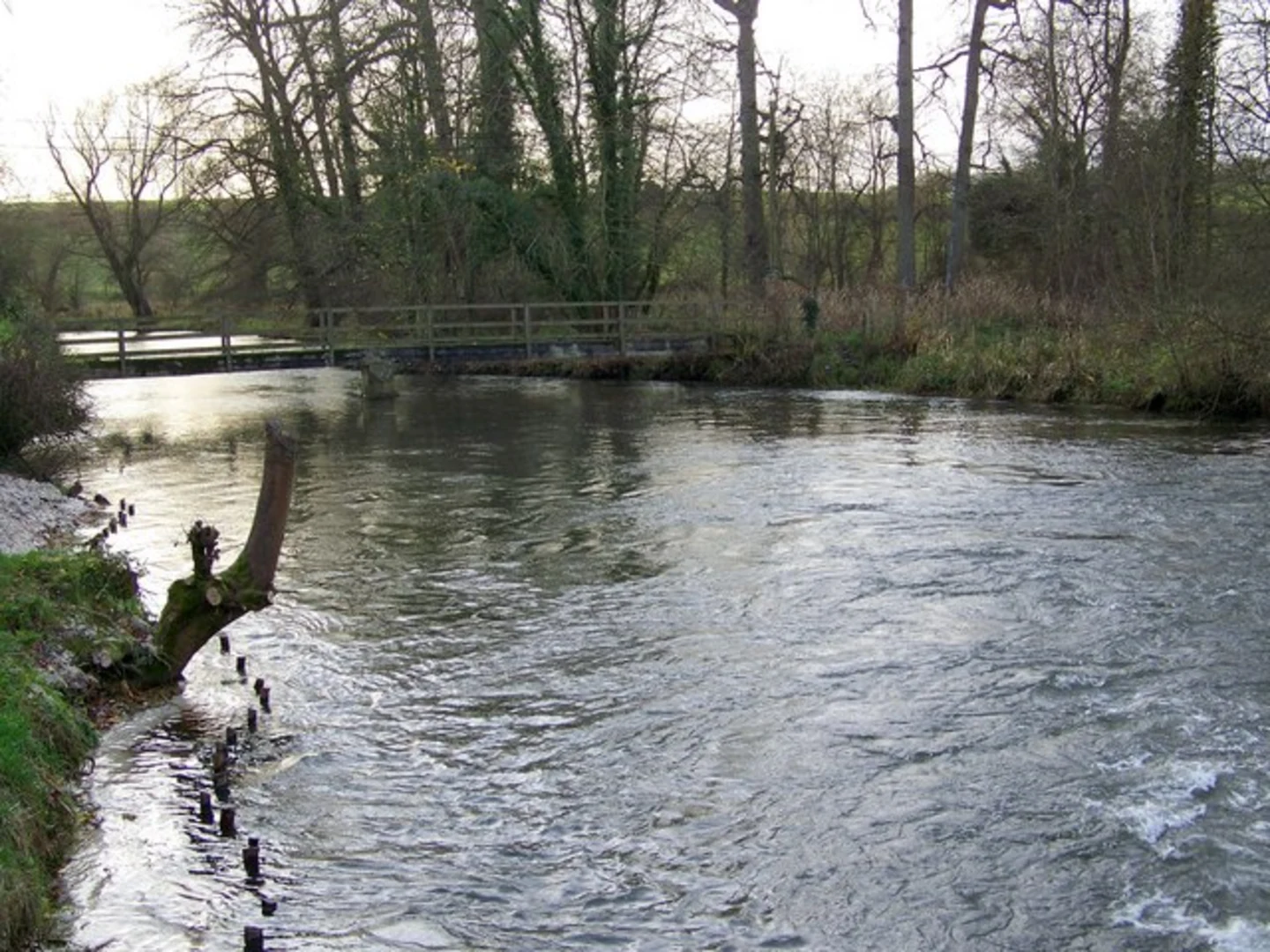 An image depicting the trail Figheldean Loop and its surrounding area.