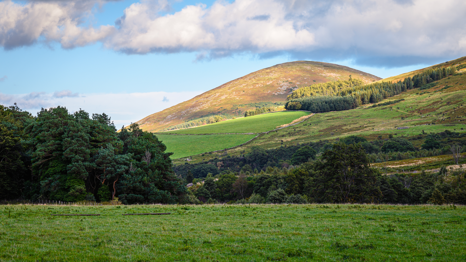 An image depicting the trail College Valley Walk and its surrounding area.