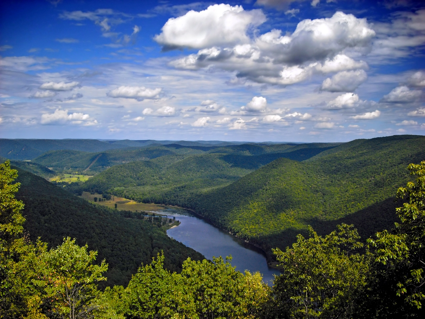An image depicting the trail Raccoon Mountain and Mosquito Creek Loop and its surrounding area.