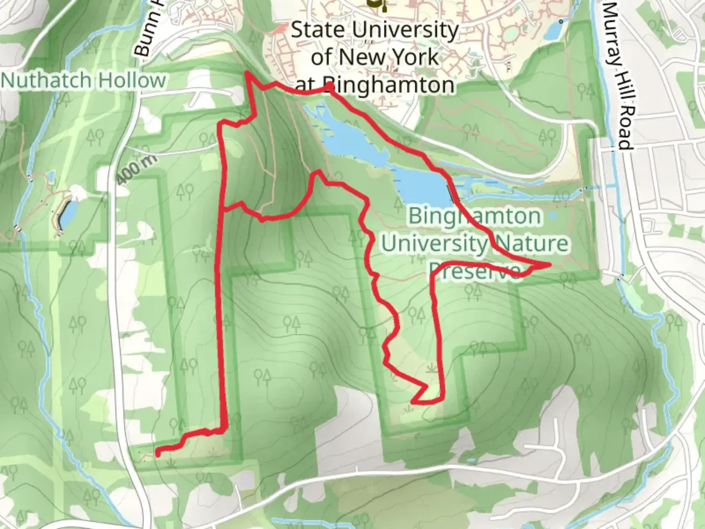 An image depicting the trail Harpur Pond Loop and its surrounding area.