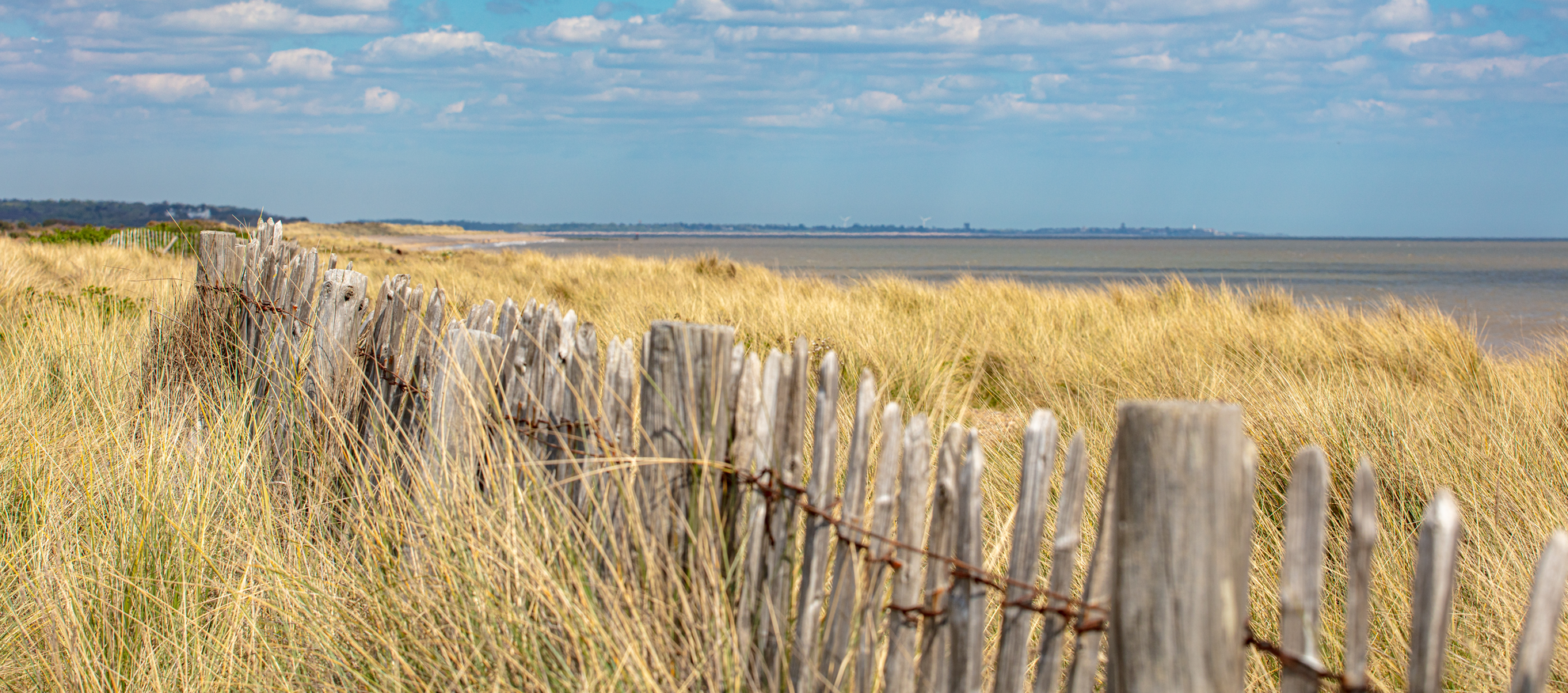 An image depicting the trail Sandlings Walk and its surrounding area.