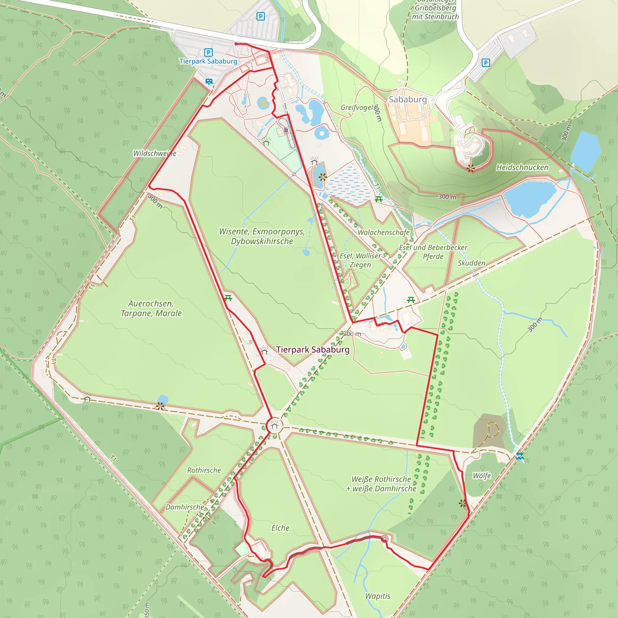 Tierpark Sababurg Loop mobile static map