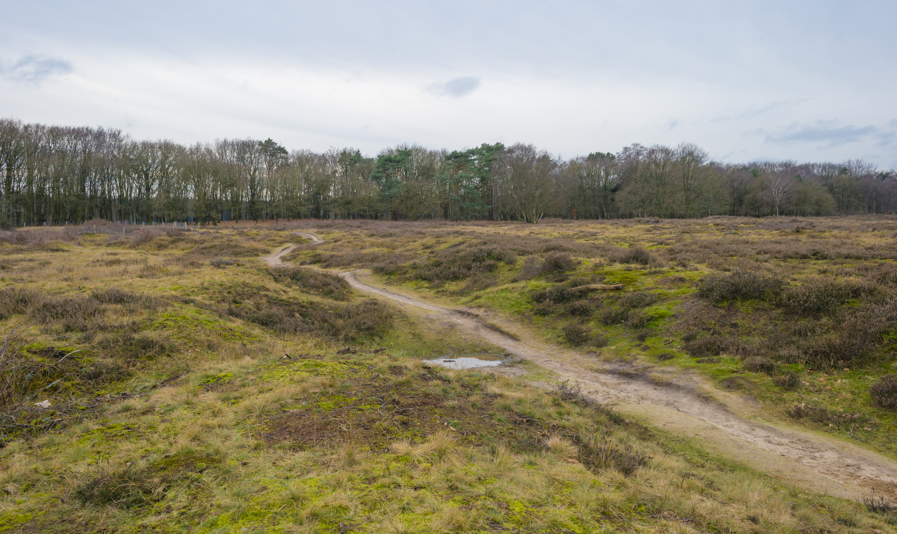 An image depicting the trail Huizer Eng, Tafelberg and Blaricummerheide Loop and its surrounding area.