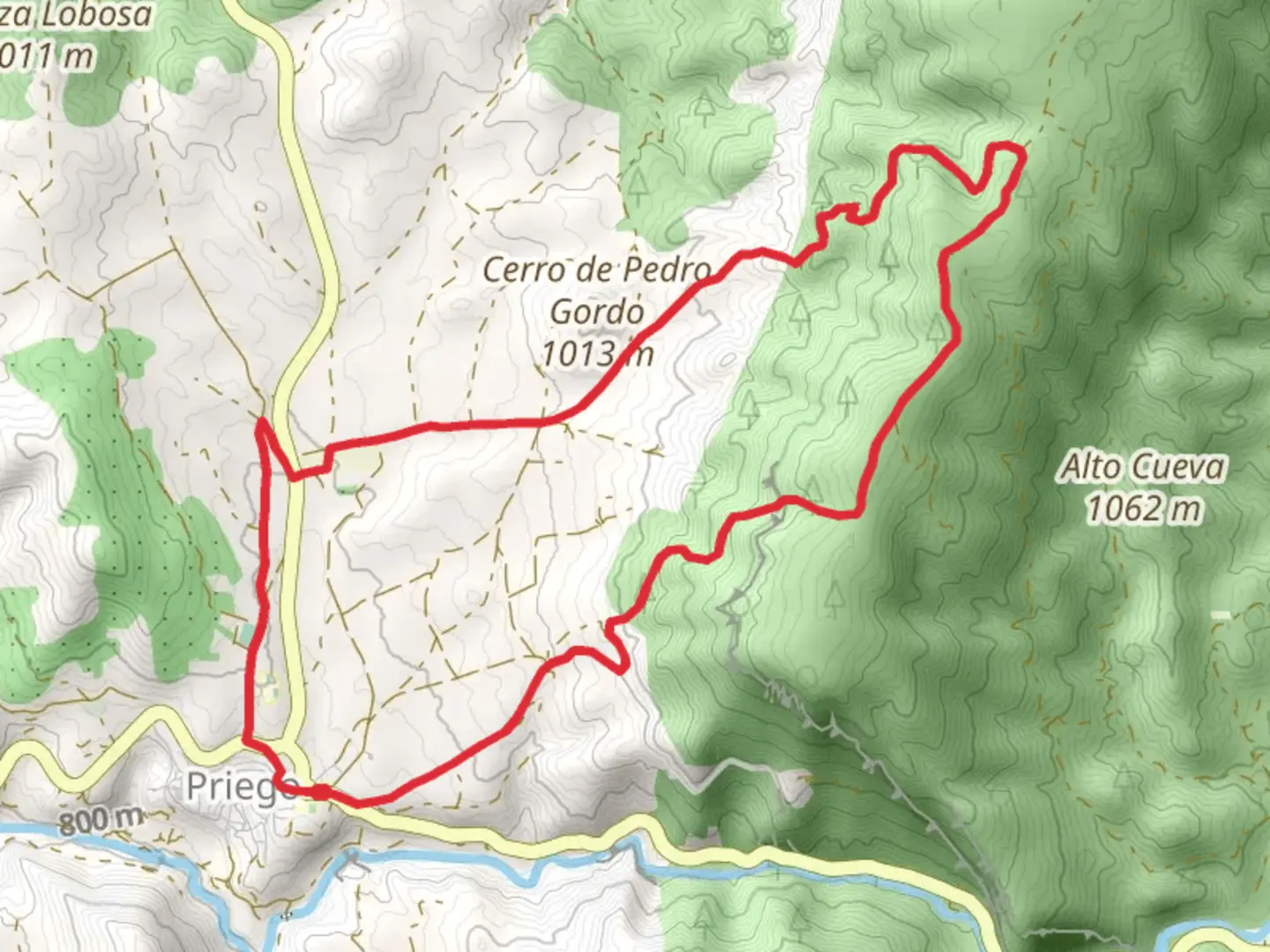 An image depicting the trail Rodenal Viewpoint Route PR CU 42 and its surrounding area.