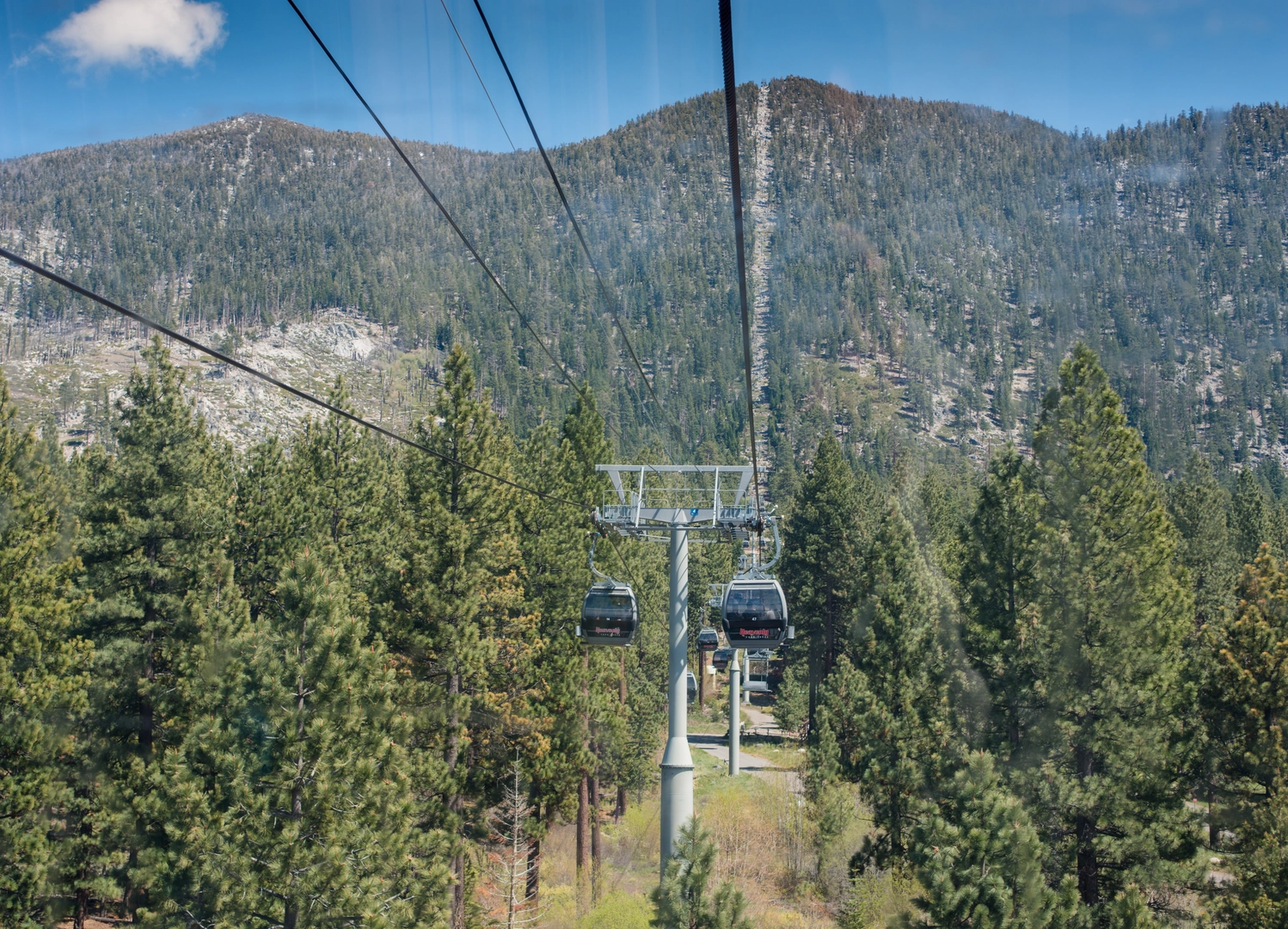 An image depicting the trail Barn Trail and Cal Neva Loop and its surrounding area.