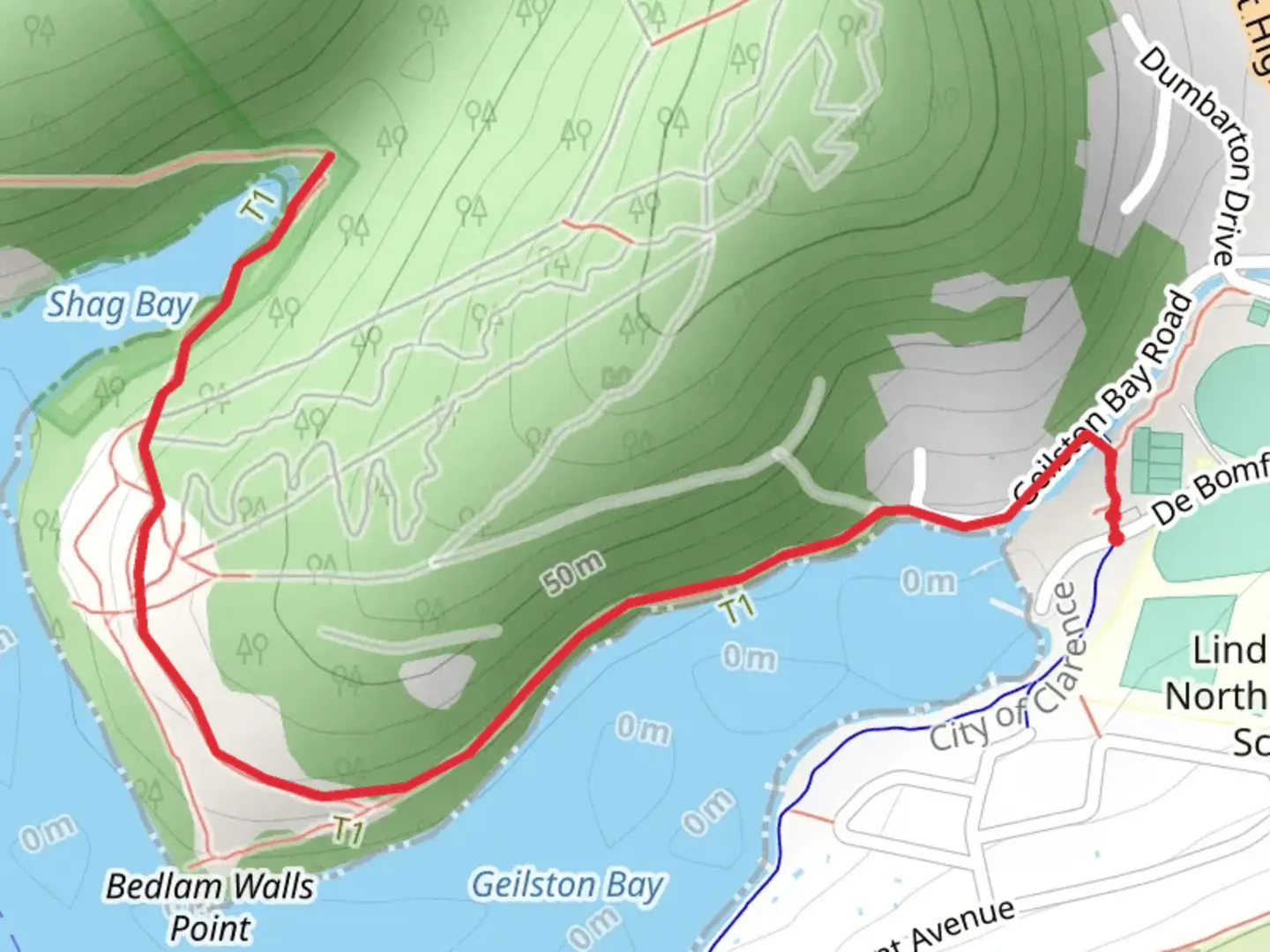 An image depicting the trail Shag Bay Track and its surrounding area.