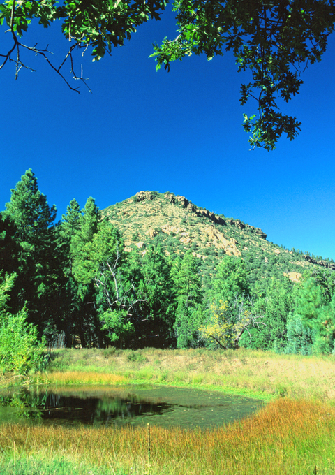 An image depicting the trail Apache Creek Trail and its surrounding area.