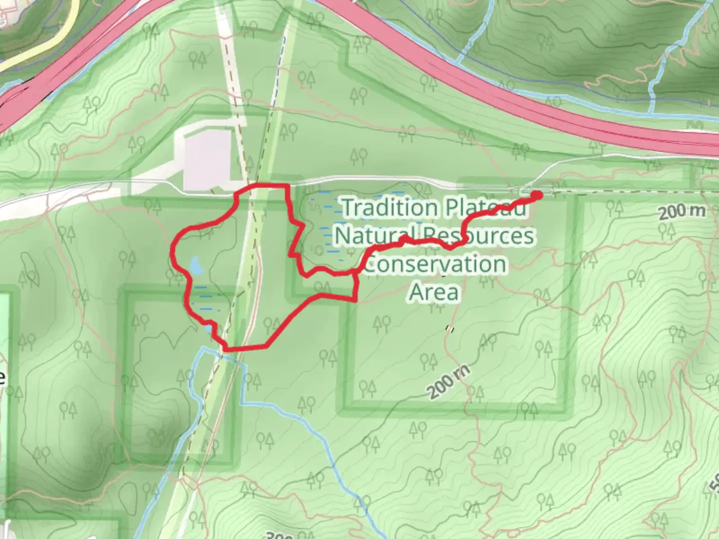 An image depicting the trail Wetlands Trail and Bus Trail and its surrounding area.