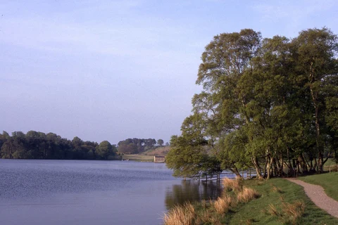 An image depicting the trail Talkin Tarn Country Park Loop and its surrounding area.