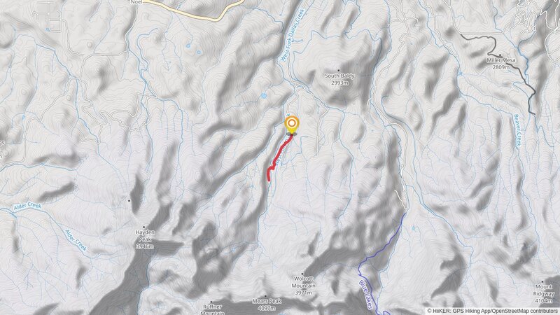 West Dallas Out and Back