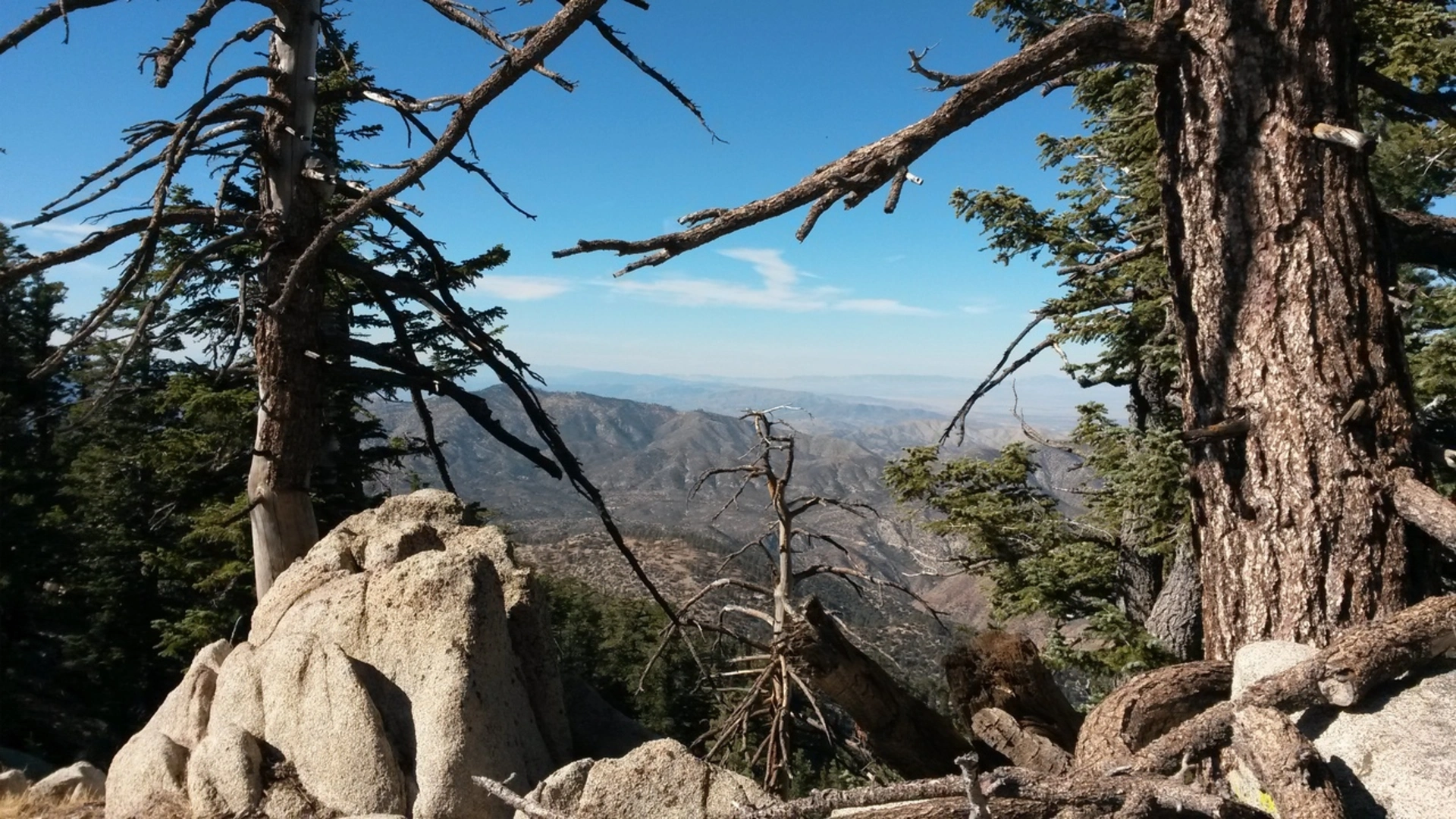 An image depicting the trail Twin Peaks Trail and its surrounding area.