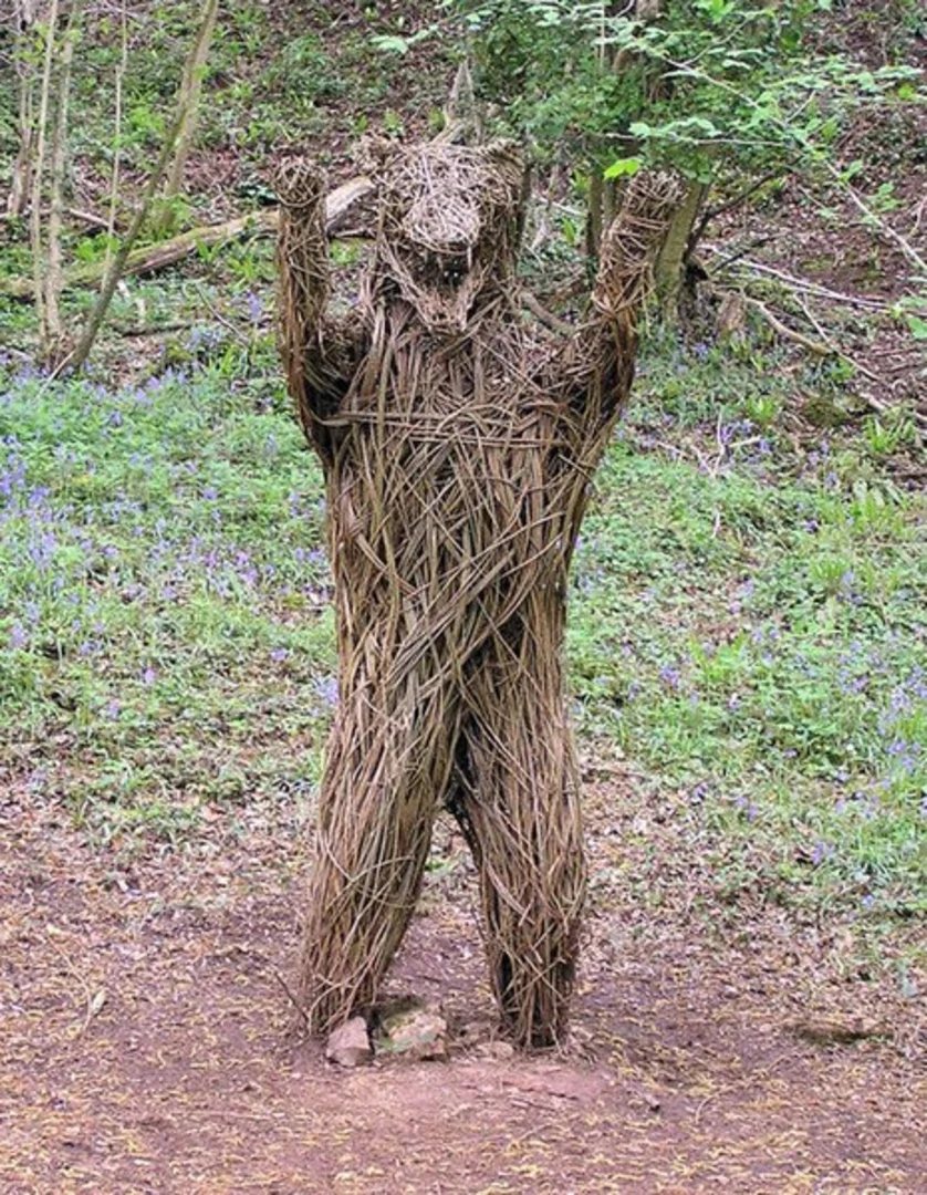 An image depicting the trail Ebbor Wood and Cook's Field Nature Reserve and its surrounding area.