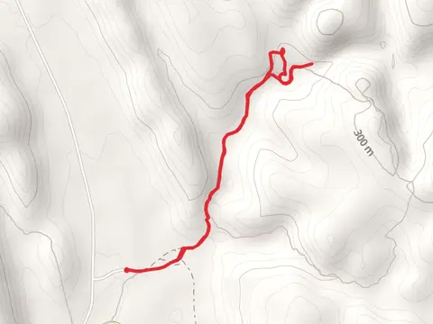 Homestead Gorge Track