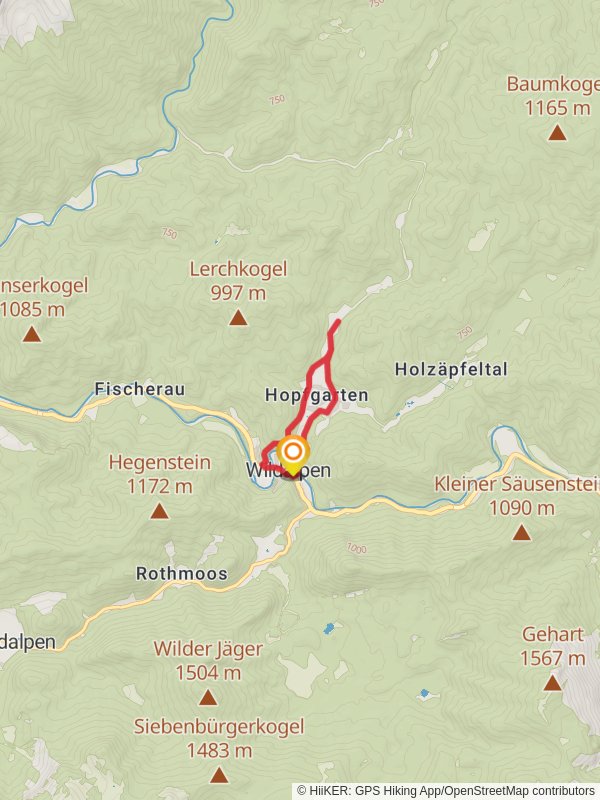 Hopfgartenrunde Wildalpen mobile static map