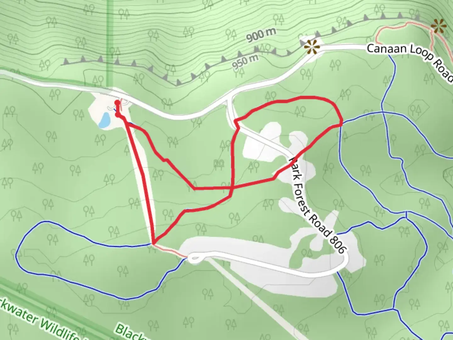 An image depicting the trail Shay Trace Trail Loop and its surrounding area.