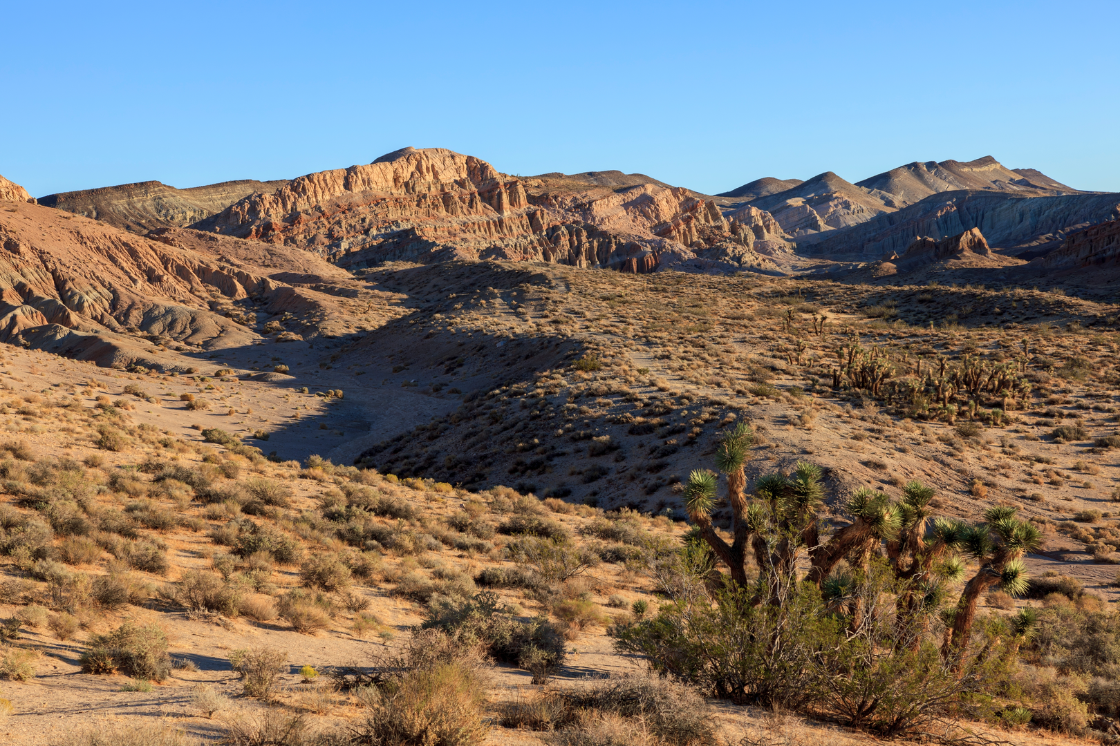 An image depicting the trail Last Chance Canyon Road and its surrounding area.