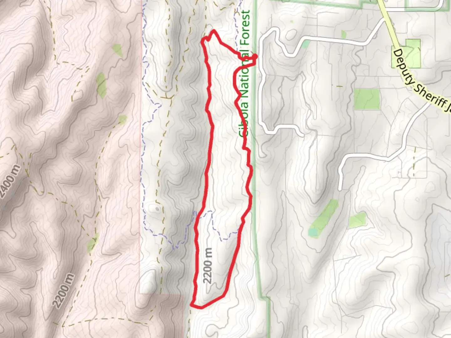 An image depicting the trail Wild Turkey, David Canyon Road and Turkey Trot Loop and its surrounding area.